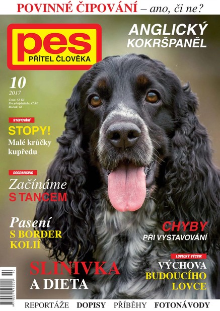 Pes přítel člověka 10/2017