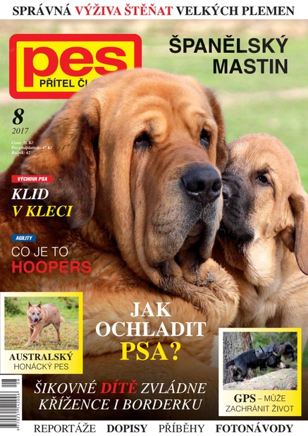 Pes přítel člověka 8/2017