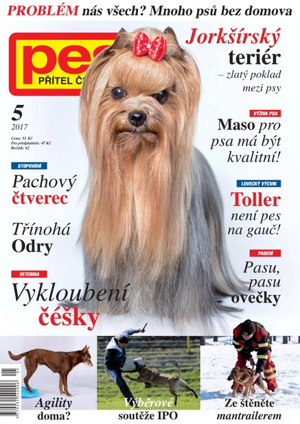 Pes přítel člověka 5/2017