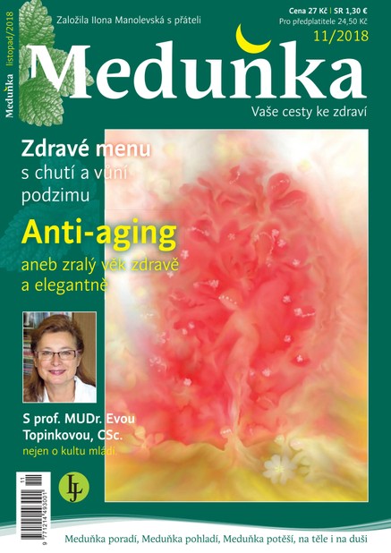 Meduňka 11/2018