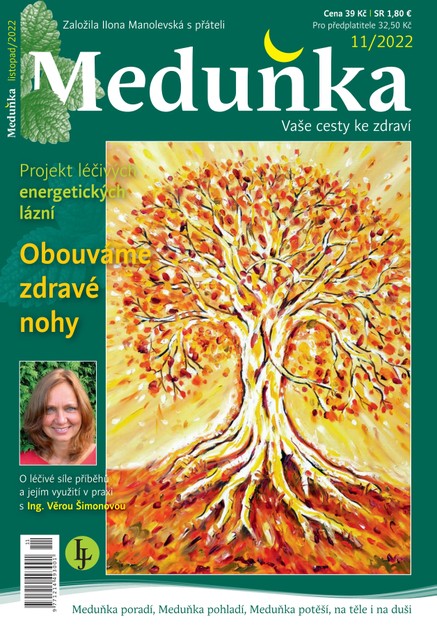 Meduňka 11/2022