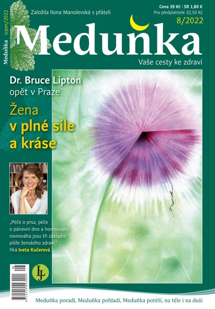 Meduňka 8/2022
