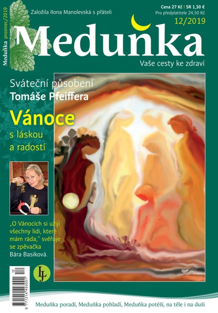 Meduňka 12/2019