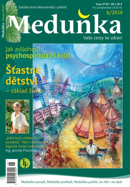 Meduňka 6/2019