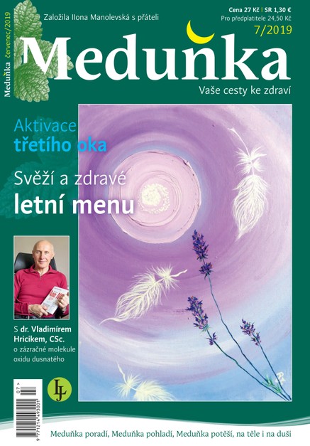 Meduňka 7/2019