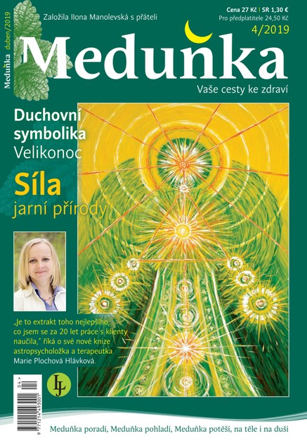 Meduňka 4/2019