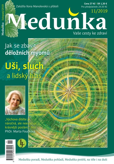 Meduňka 11/2019