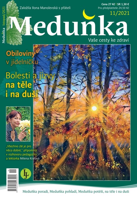 Meduňka 11/2021