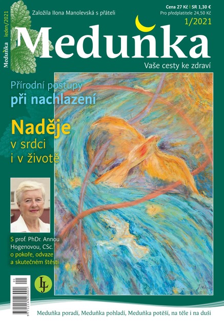 Meduňka 1/2021
