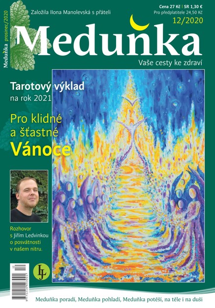 Meduňka 12/2020