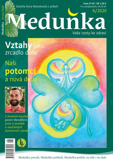 Meduňka 6/2020