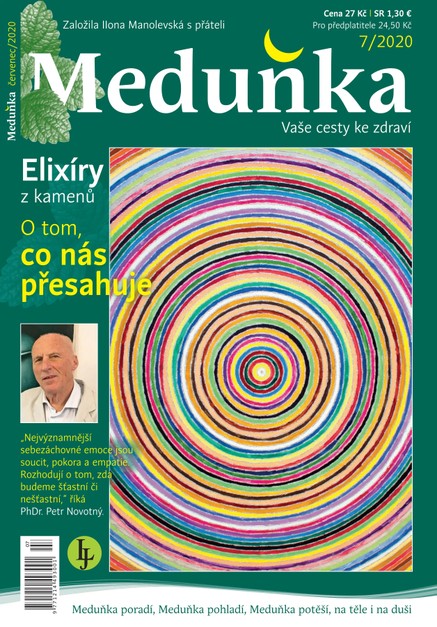 Meduňka 7/2020