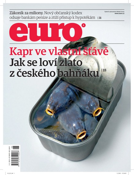 EURO 06/2013