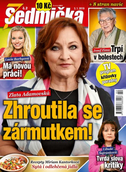 Sedmička 02/2019
