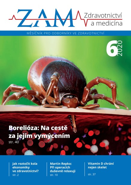 Zdravotnictví a medicína 6/2020