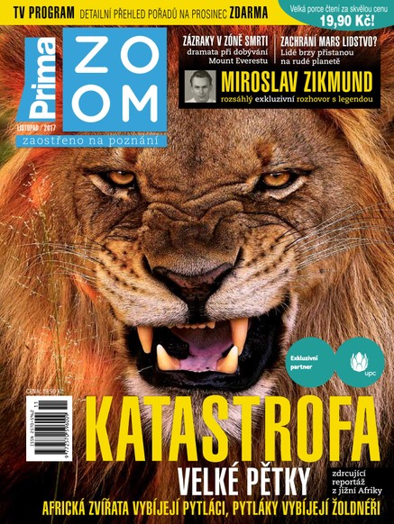 Prima ZOOM 11/2017