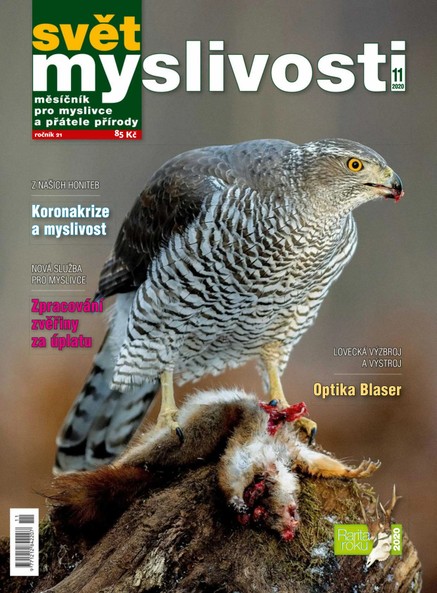 SVĚT MYSLIVOSTI  11/2020