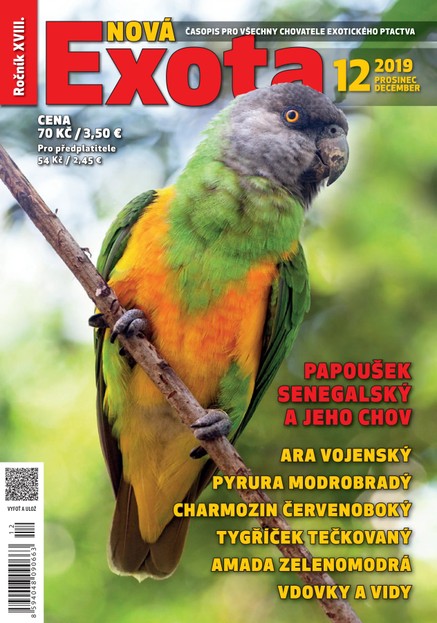 Nová EXOTA 12/2019