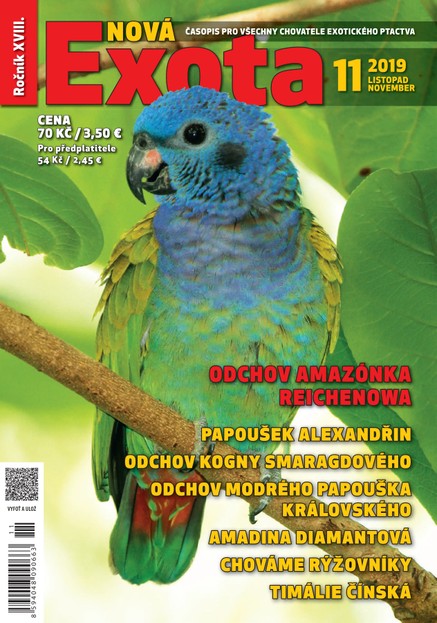 Nová EXOTA 11/2019