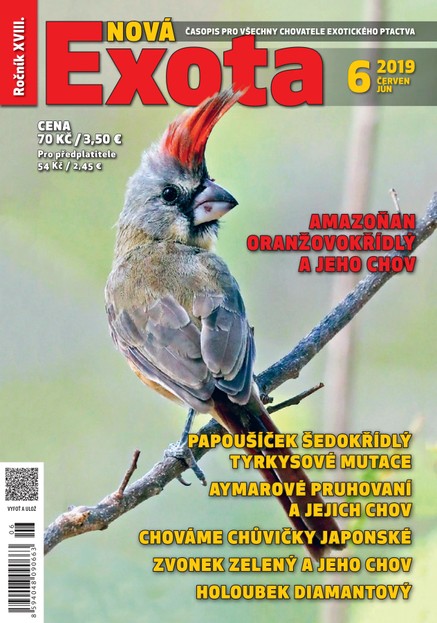 Nová EXOTA 6/2019