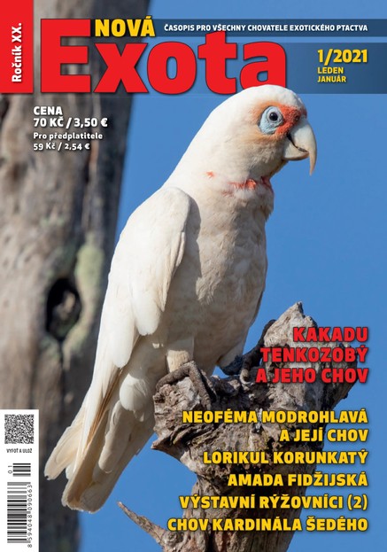 Nová EXOTA 1/2021