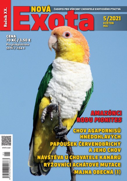 Nová EXOTA 5/2021