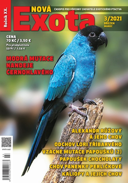 Nová EXOTA 3/2021