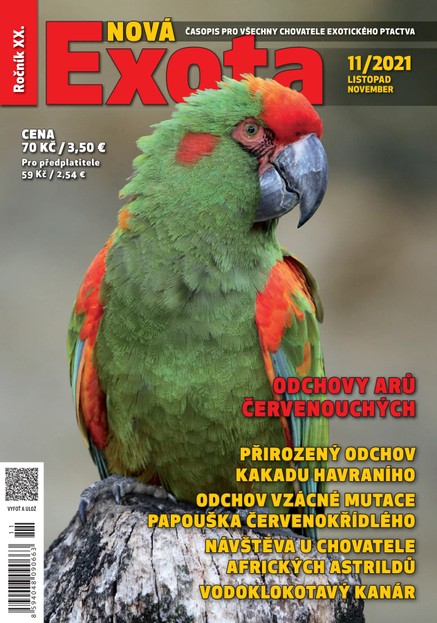 Nová EXOTA 11/2021