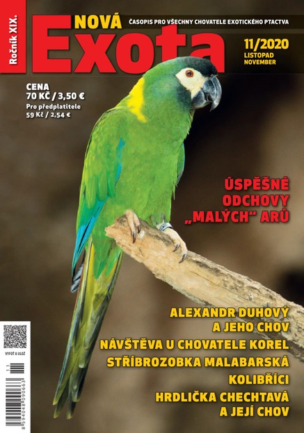 Nová EXOTA 11/2020