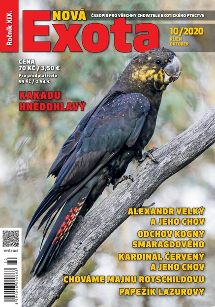 Nová EXOTA 10/2020