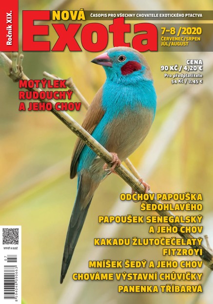 Nová EXOTA 7-8/2020