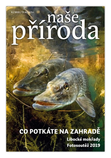 Naše příroda 6/2019