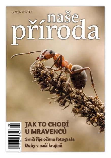 Naše příroda 4/2019