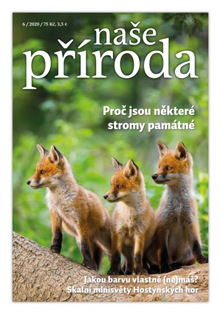 Naše příroda 6/2020