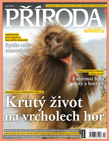 Příroda  10/2014