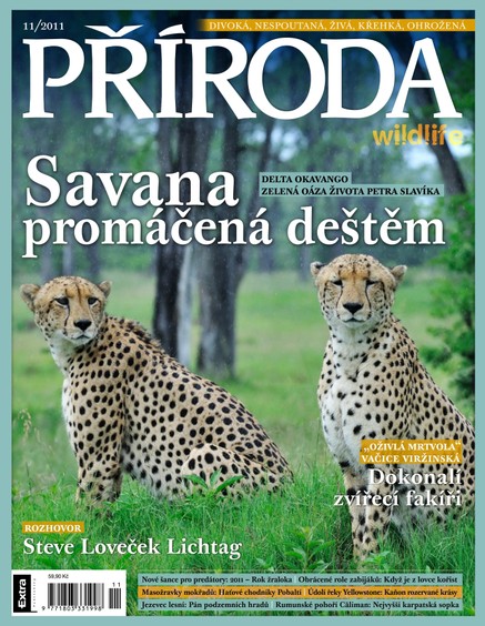 Příroda  11/2011