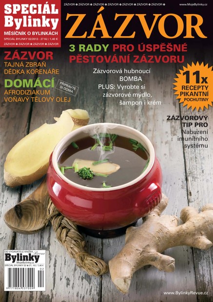 2/2013 - Zázvor