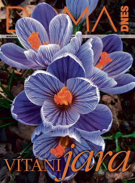 DOMA DNES - 22.3.2023