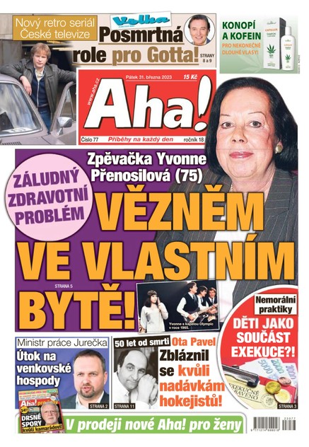 AHA! - 31.3.2023