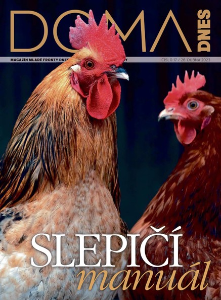 DOMA DNES - 26.4.2023