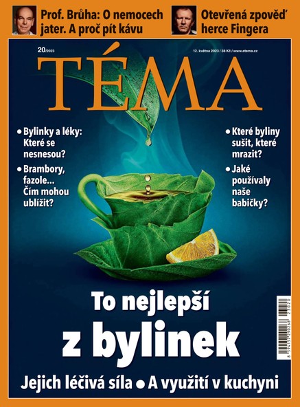 TÉMA DNES - 12.5.2023