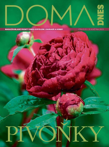 DOMA DNES - 31.5.2023