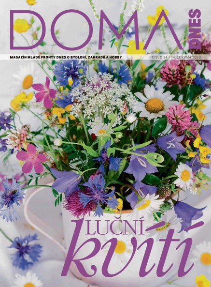 DOMA DNES - 14.6.2023