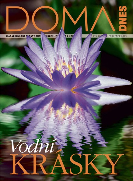 DOMA DNES - 12.7.2023