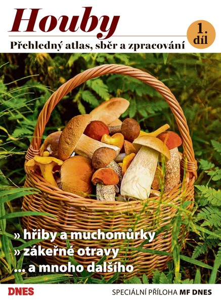 Magazín DNES Speciál Magazín DNES Speciál Jižní Čechy - 5.9.2023