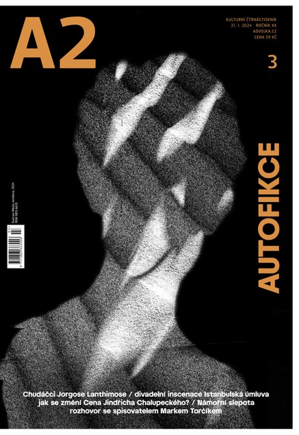 A2 – Autofikce – 03/2024