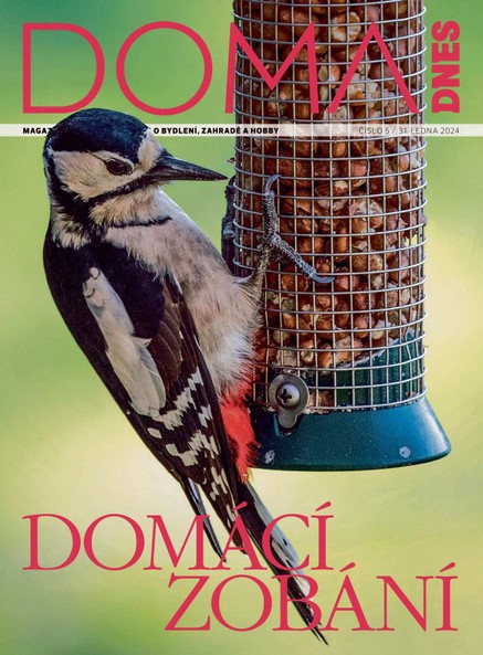 DOMA DNES - 31.1.2024