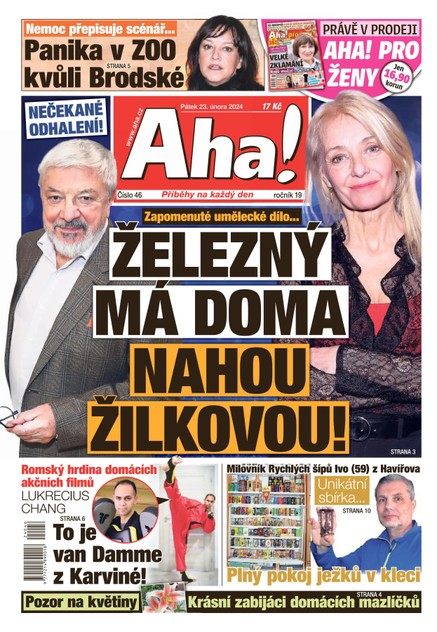 AHA! - 23.2.2024