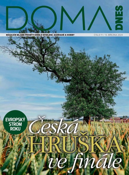 DOMA DNES - 13.3.2024