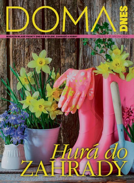 DOMA DNES - 20.3.2024